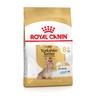 1.5kg Yorkshire Terrier Adult 8+ Royal Canin Breed secco per cani
