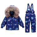 2 Piece Boys Winter Snowsuit, Kids Clothing Sets Girls Hooded Duck Down Jacket + Snow Bib Ski Pants Dinosaur Blue 3-4 Years