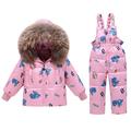 2 Piece Boys Winter Snowsuit, Kids Clothing Sets Girls Hooded Duck Down Jacket + Snow Bib Ski Pants Dinosaur Pink 2-3 Years