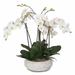 Jenny Silks Two Tone White Silk Phalaenopsis Orchids w/ Reindeer Moss & Bamboo Pole In Stone Wash Round Pot Polysilk | 24 H x 25 W x 22 D in | Wayfair