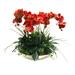 Dalmarko Designs Orchids in Decorative Bowl in Red | 24 H x 18 W x 18 D in | Wayfair d0615165