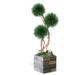 Dalmarko Designs Dried Pom Pom Floor Bonsai Tree in Pot Wood in Brown | 96 H x 32 W x 32 D in | Wayfair dmr981
