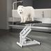 Tucker Murphy Pet™ Pico Hydraulic Heavy Duty Z-Lift Pet Dog Grooming Table, Rubber | 67 H x 42.5 W x 23.5 D in | Wayfair BW000031AAA