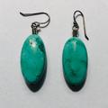 Anthropologie Jewelry | Genuine Turquoise Earrings | Color: Blue/Green | Size: Os