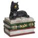 Winston Porter Monegro Kitten Trinket Box Plastic/Acrylic in Brown/Gray/Green | 5 H x 4 W x 3 D in | Wayfair 6FEFCE33724C411F887F1D7BE2752772