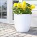 Sol 72 Outdoor™ Cogdill Fiberglass Pot Planter Fiberglass in White | 10.5 H x 10.75 W x 10.75 D in | Wayfair F05552CA436C49C099BCB6DC839ED972