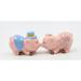 Cosmos Gifts Kissing Pigs Salt & Pepper Shaker Set Dolomite/Ceramic in Pink | 2.25 H x 1.75 W in | Wayfair 20982