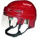 Detroit Red Wings Unsigned Sportstar Mini Helmet