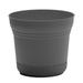 Ebern Designs Sanah Plastic Planter w/ Saucer Resin/Plastic in Black | 6.5" H x 7.25" W x 7.25" D | Wayfair BB256A33EE5F48D19823D2B98A162030