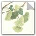 Dakota Fields Ayotte Ginkgo Leaves I Light Removable Wall Decal Vinyl in Brown/Green | 18 H x 18 W in | Wayfair A666AE6B873C4986831614817DC953A7