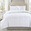 White Noise Level 2 All Season Oversized Cotton Sateen Down Comforter whiteDown & Feather Blend | 96 H x 90 W in | Wayfair ANEW1121 37377606