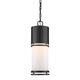 Z-Lite Luminata 17 Inch Tall LED Outdoor Hanging Lantern - 560CHB-BK-LED