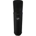 Warm Audio WA-87 R2 Large-Diaphragm Multipattern Condenser Microphone (Black) WA-87 R2B