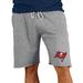 Men's Concepts Sport Gray Tampa Bay Buccaneers Mainstream Terry Shorts