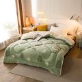 CLG Lamb Velvet Fabric Winter Quilt, Warm Cashmere Quilt Hygroscopic Breathable Duvet Single Double,Wool Autumn and Winter Thickened Warm Gift Quilt (C,110x150cm 1.5kg)