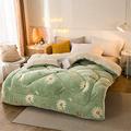 CLG Lamb Velvet Fabric Winter Quilt, Warm Cashmere Quilt Hygroscopic Breathable Duvet Single Double,Wool Autumn and Winter Thickened Warm Gift Quilt (A,150x200cm 2.5kg)