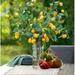 Primrue Lemon Centerpieces in Vase Silk | 30 H x 26 W x 26 D in | Wayfair B839677BD21941CD863A0192EE085373
