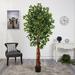 Primrue 78" Artificial Ficus Tree in Pot Liner Plastic | 78 H x 28 W x 28 D in | Wayfair 99258B30056D4C8492B4D81C99352927