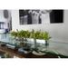 CFA Design Group Casa Moderna Glass Plate Orchids Floral Arrangement in Planter in Green | 8 H x 36 W x 8 D in | Wayfair CMCYM-036-GR