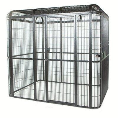 A&E Cage Co. Enormous Walk Bird Aviary Iron in Black/Gray, Size 79.0 H x 62.0 W x 110.0 D in | Wayfair WI11062Black