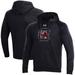 Men's Under Armour Black South Carolina Gamecocks Primary School Logo All Day Raglan Pullover Hoodie