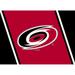 Imperial Carolina Hurricanes 5'4'' x 7'8'' Spirit Rug