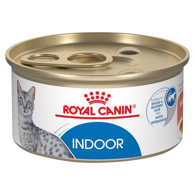 Royal Canin Adult Feline Health Nutrition Morsels in Gravy Cat Food for Indoor Cats, 3 oz., Case of 24