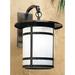 Red Barrel Studio® Arinze 1-Light Outdoor Wall Lantern in Brown | 27.25 H x 14.13 W x 20 D in | Wayfair A5AEED197E184FE2ACA142D2979F6030