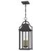 Quoizel Manning 24 Inch Tall 3 Light Outdoor Hanging Lantern - MAN1911WT