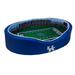 Royal/White Kentucky Wildcats 34'' x 22'' 7'' Medium Stadium Oval Dog Bed