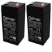 4 Volt 4.5 Ah SLA Replacement Battery for Japan PE4.5-4R - 2 Pack