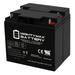 12V 18Ah SLA Battery for Golden Technology Alante LT GP215 - 2 Pack