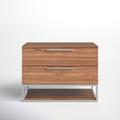 Joss & Main Ladera 2 Drawer Nightstand Wood/Metal in Brown | 22 H x 30 W x 18 D in | Wayfair 716675A4F54D4271AF23498A9C8E7EF2
