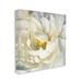 Winston Porter Floral Close-up Petals Nature Yellow Painting by Danhui Nai - Graphic Art Print Canvas in White | 36 H x 36 W x 1.5 D in | Wayfair