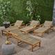 Camdyn Outdoor Rustic Acacia Wood Chaise Lounge with Wicker Seating (Set of 4) Natural and Mixed Mocha