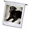 3dRose Labrador Retriever - Garden Flag 12 by 18-inch