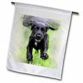 3dRose Running Playful Labrador Retriever Puppy Polyester 1 6 x 1 Garden Flag