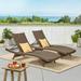 Theresa Outdoor Wicker Chaise Lounge with Aluminum Frame Mixed Mocha