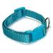 Brite Color Nylon Collars for Dogs - 11 Fun Colors 4 Sizes Bright Dog Collar (xSmall Bluebird)