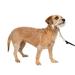 PetSafe Gentle Leader Headcollar No-Pull Dog Collar Perfect for Leash & Harness Training Stops Pets from Pulling and Choking on Walks