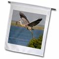 3dRose Great Blue Heron bird with nest material Texas USA - US44 LDI0896 - Larry Ditto - Garden Flag 12 by 18-inch