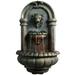 eamson Home 32.1 Tiered Lion Head Stone LED Water Fountain for Patio/Backyard
