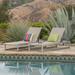 Luis Outdoor Mesh Chaise Lounge (Set of 2) Silver and Gray