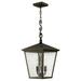 3 Light Large Outdoor Hanging Lantern In Traditional Style 11 Inches Wide By 23.25 Inches High-Regency Bronze Finish-Led Lamping Type Hinkley