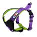 Pawtitas Padded Reflective Dog Harness Small Adjustable Purple Dog Harness