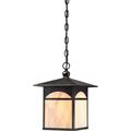 Nuvo Lighting Canyon 1 Light Outdoor Hanging