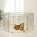 MidWest Homes For Pets Metal Exercise Dog Playpen No Door Gold 42 H