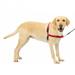 PetSafe Easy Walk No-Pull Leash Training Dog Harness Large Red