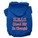 Mirage Pet 62-25-06 SMBL Head Elf In Charge Screen Print Pet Hoodies Blue - Small - Size 10