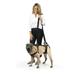 PetSafe CareLift Support Harness Full Body Lifting Aid with Handle Medium